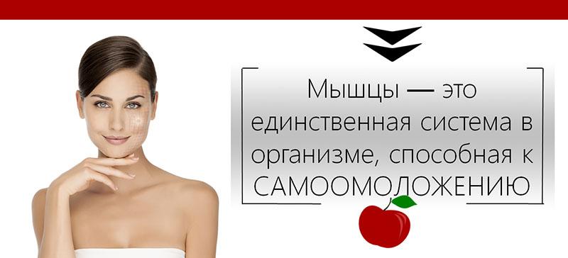 Мышцы - это единственная система, способная к самоомоложению